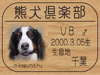 �`�j�n����̂a�k�n�f�ւf�n�I